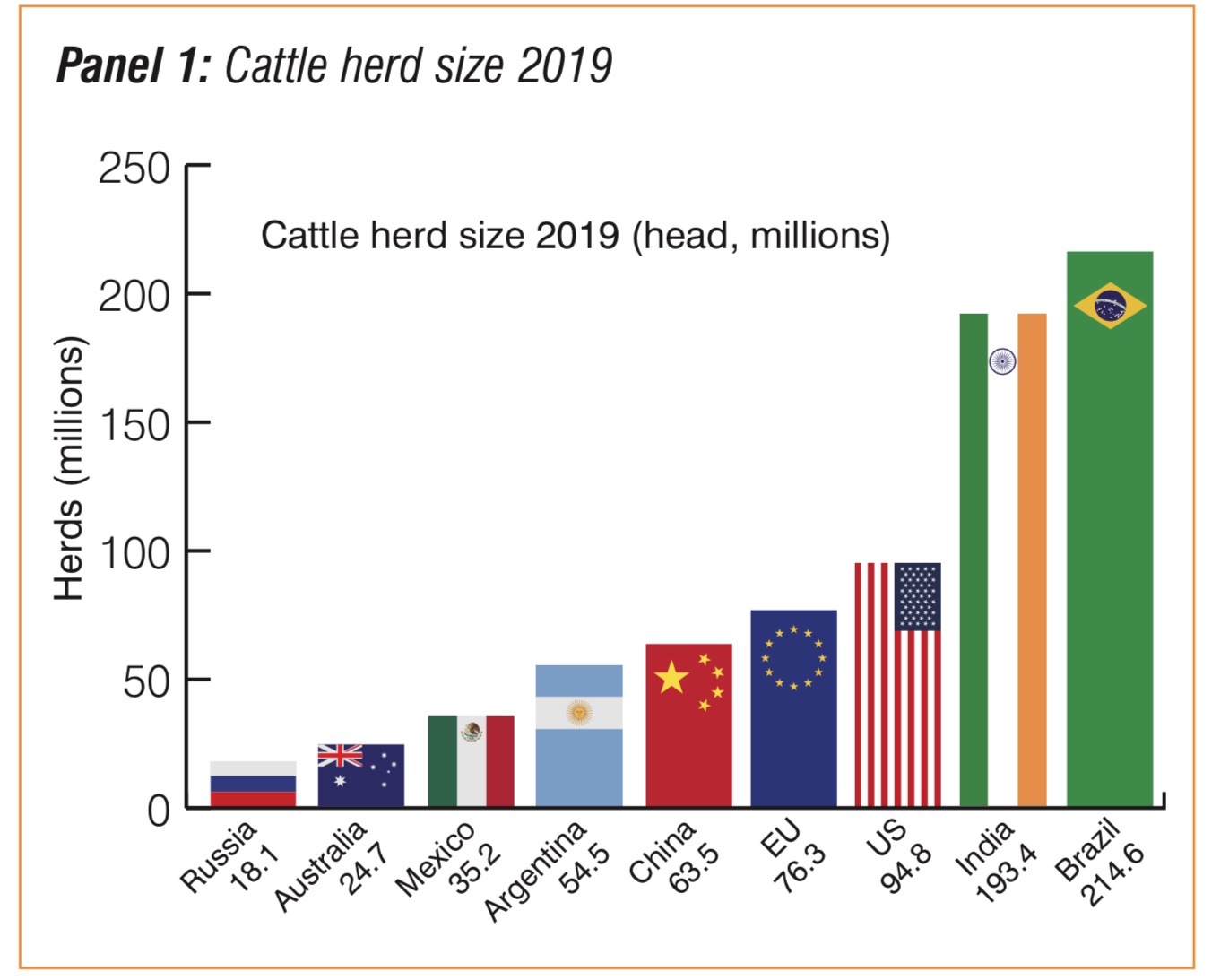 Hide Sizes