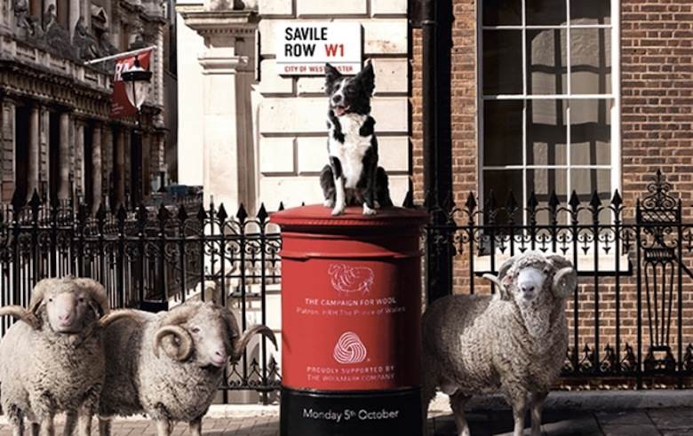 Sheep set to make their mark on Savile Row                                                                                                                                                              