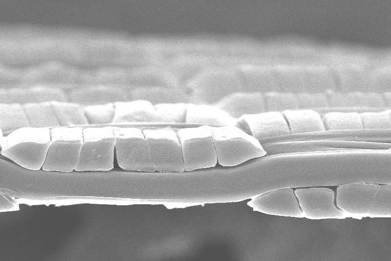 New Pertex technology promises double the abrasion resistance