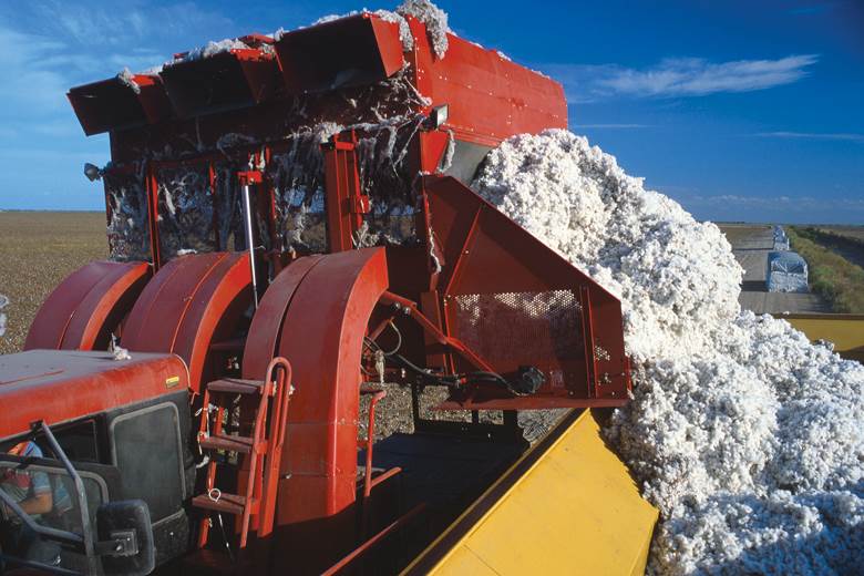 H&M bans Syrian and Turkmenistan cotton from supply chain                                                                                                                                               