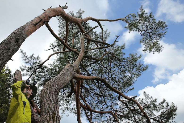 OutDoor prepares for microadventures trend                                                                                                                                                              