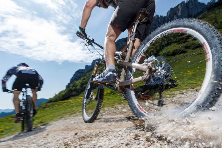 Patagonia, adidas and Arcteryx join 350 leaders in new letter to Trump