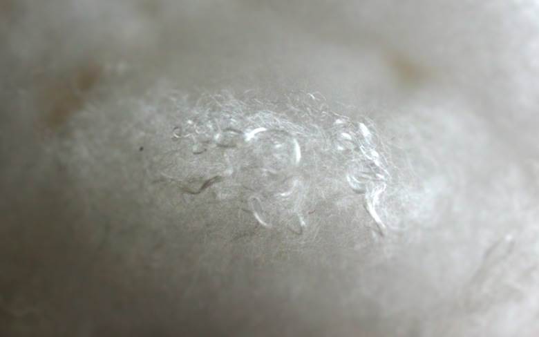 New Thermore product scores impressive result in fill power tests