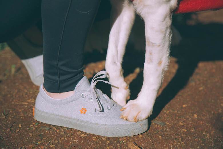 Brazilian brand will sell shoes to help street dogs
