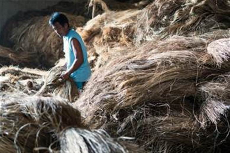 Innovation in plant-based fibres celebrated by Design Prize Switzerland