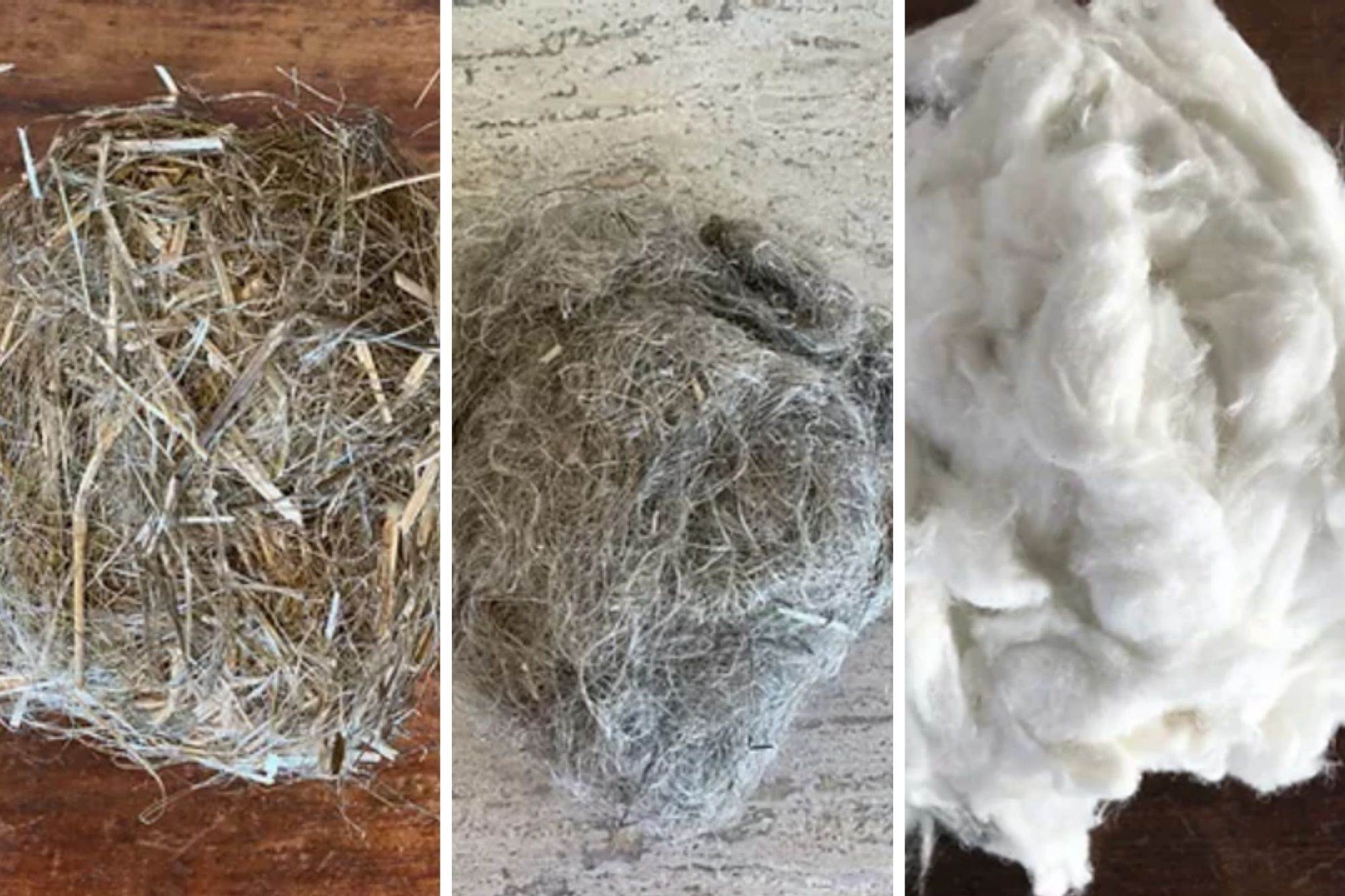 Panda Biotech to open Texas hemp processing plant