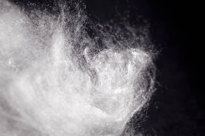 Cellulosic fibres are a window to “a magic world”