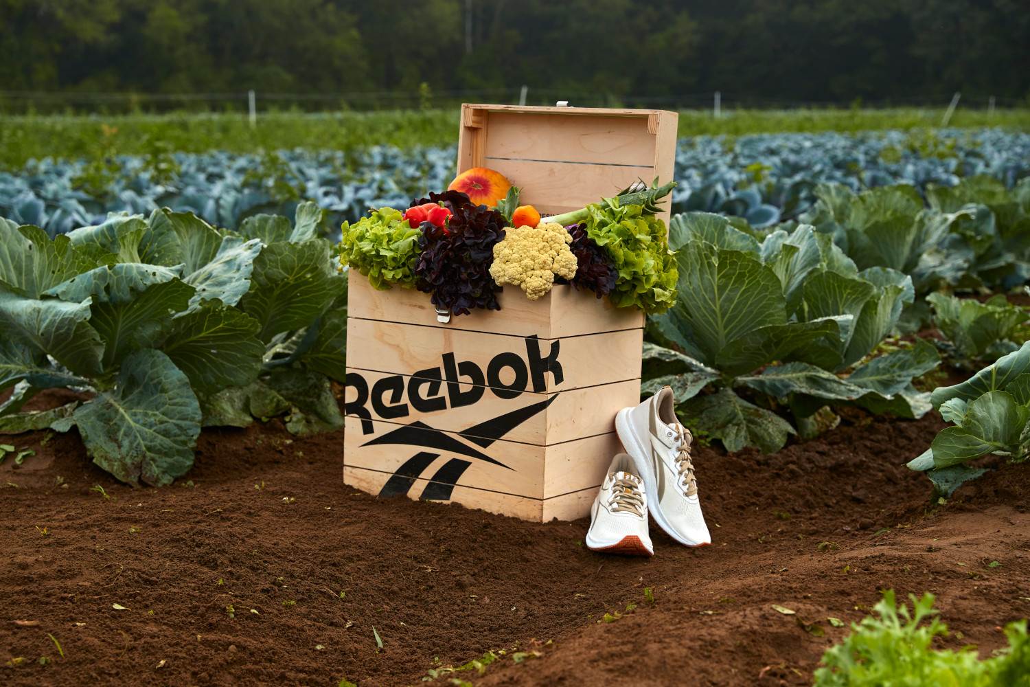 Commercial launch for Reebok’s ‘plant-based’ shoe