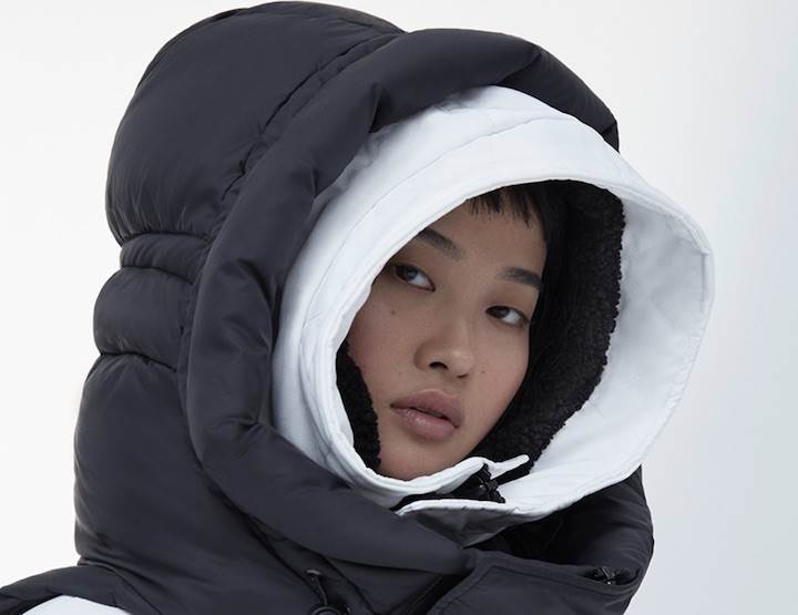 Canada Goose and Juun.J take flight again