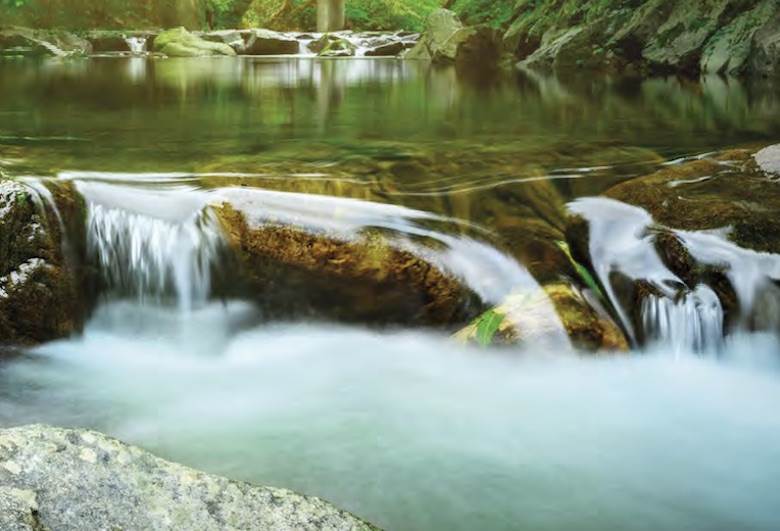 Elevate Textiles releases first sustainability report                                                                                                                                                   