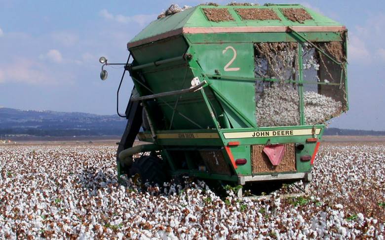 Winners announced in BCI technology challenge