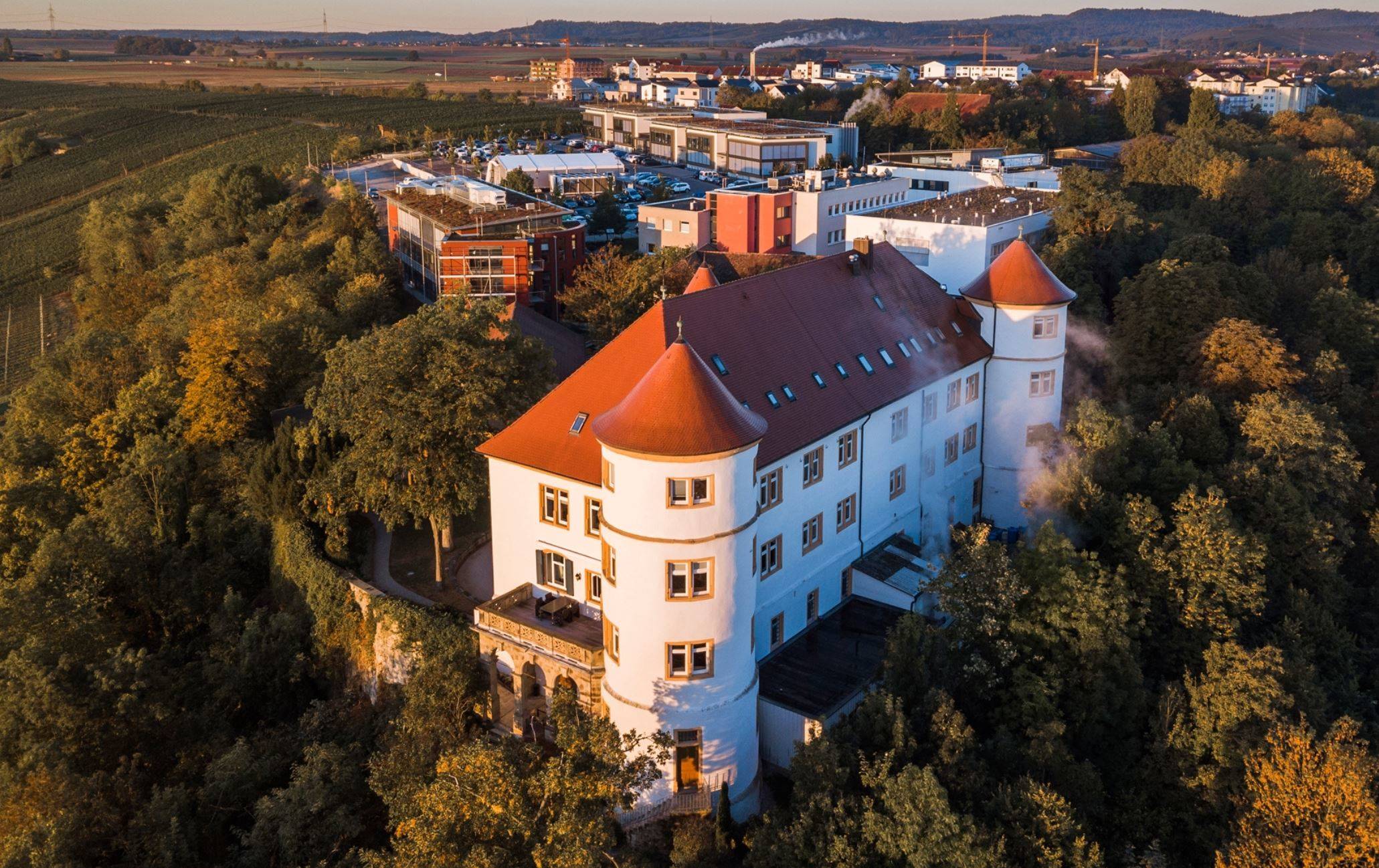 Hohenstein thanks loyal customers as it celebrates 75th birthday