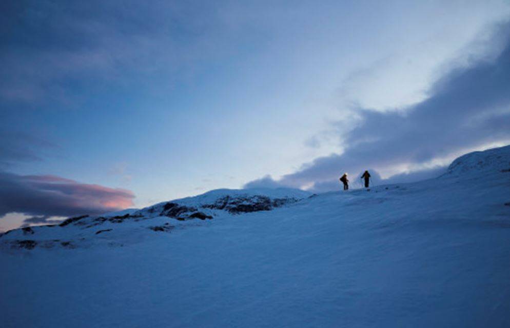 Refined consumer focus helps Haglöfs coast 2020                                                                                                                                                         