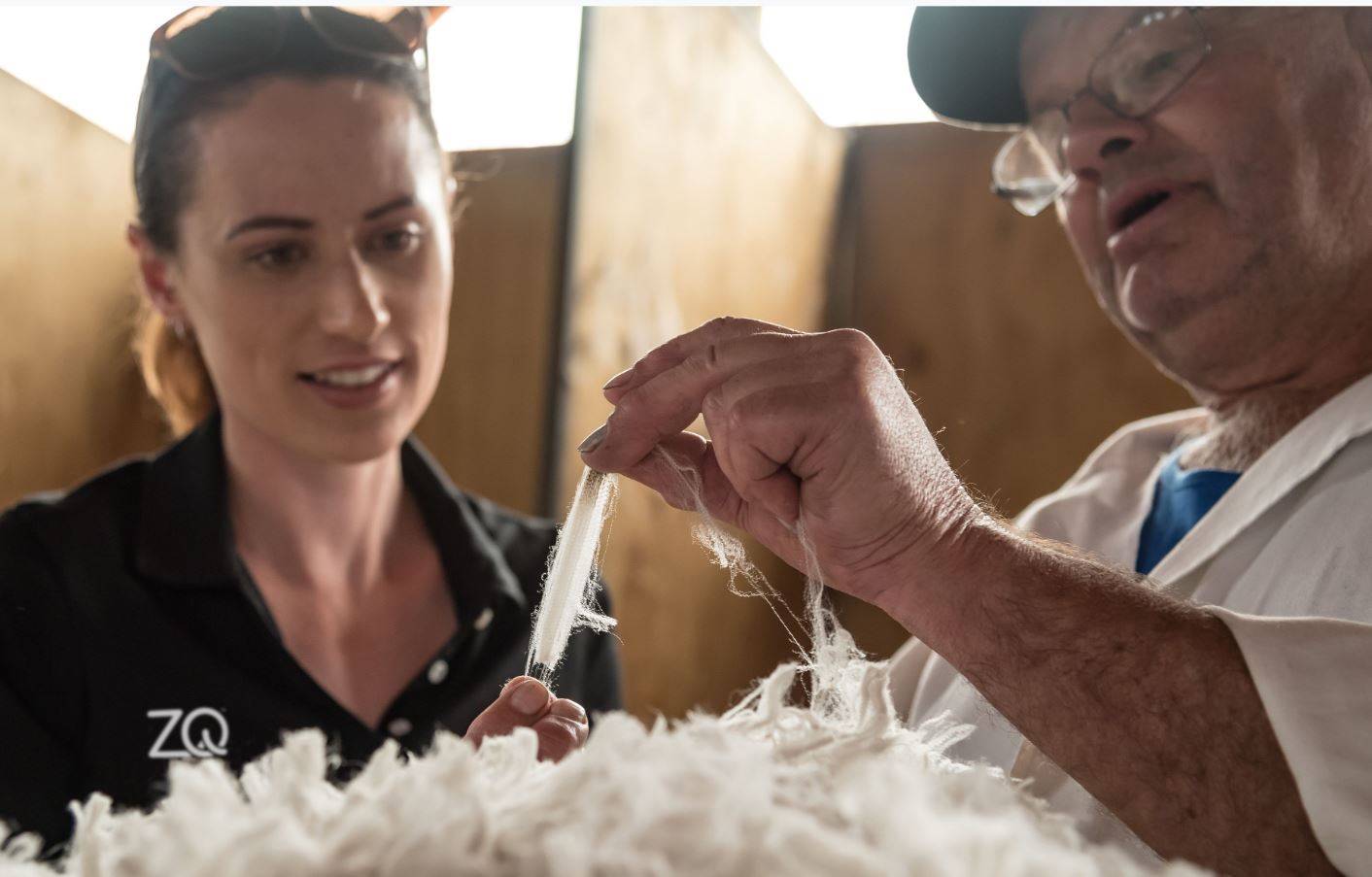 New Zealand partners celebrate ‘first regenerative wool platform’
