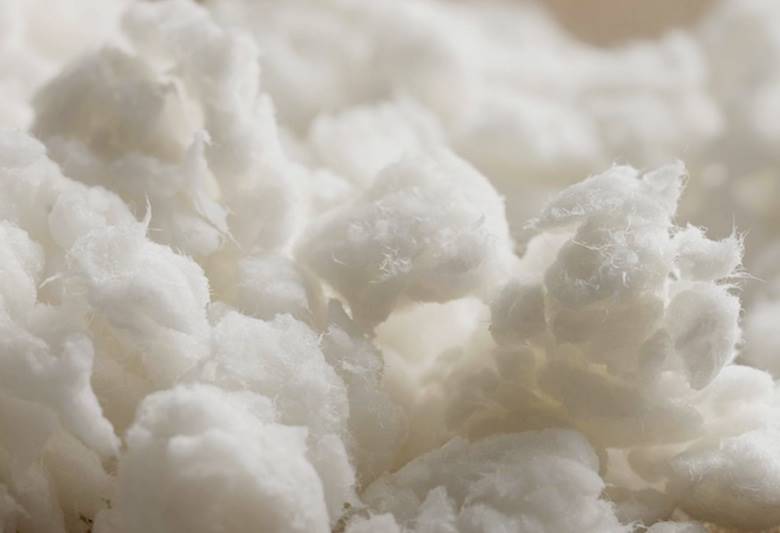 TreeToTextile ready to scale ‘sustainable’ cellulosic fibre                                                                                                                                             