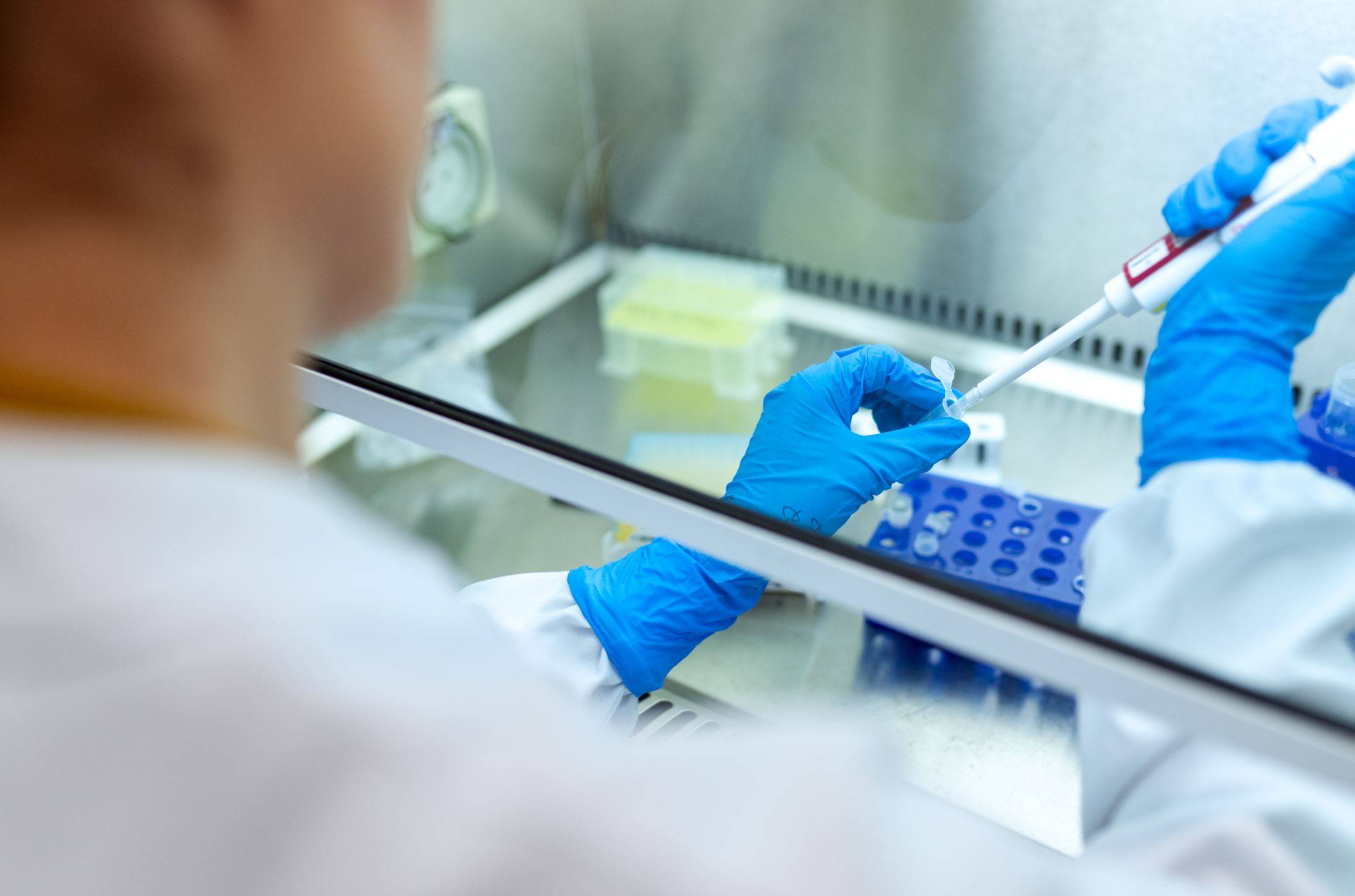 ZDHC publishes ‘simplistic, structured’ chemistry guide for suppliers