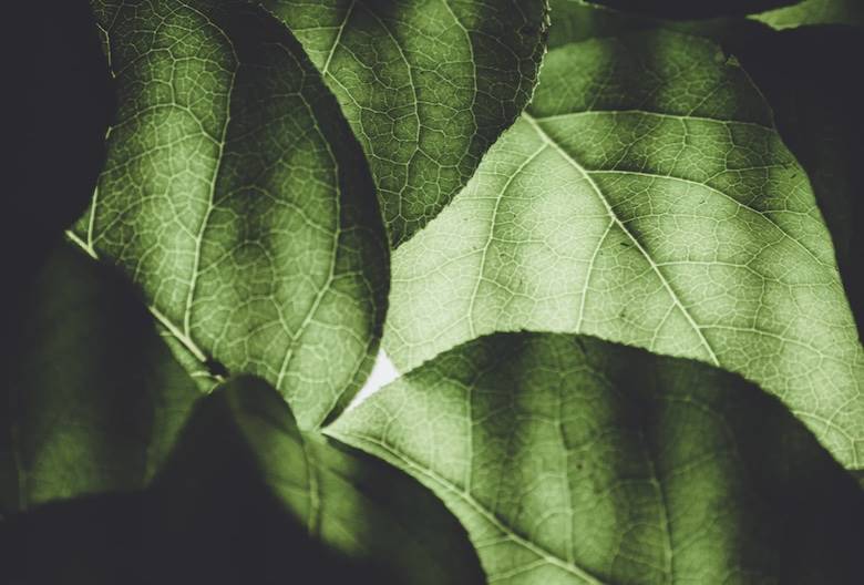 New, China-grown biomimetic transpiration textile                                                                                                                                                       