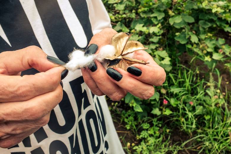 Eurofins wins approval for organic cotton testing