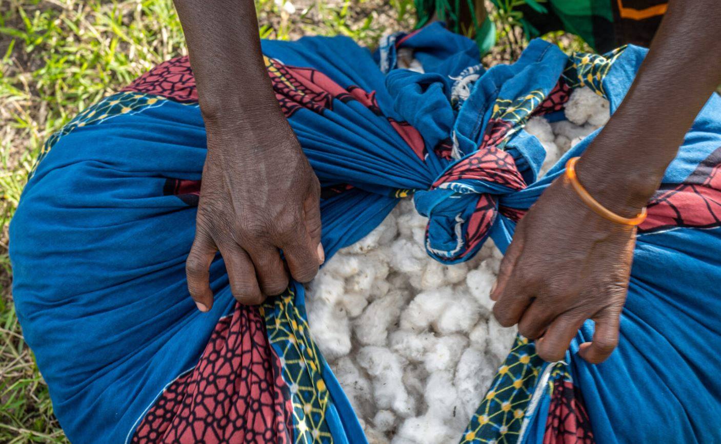Jump in demand for Cotton made in Africa                                                                                                                                                                