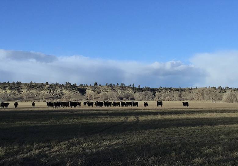 Kering: ‘healthy soil is the starting point’