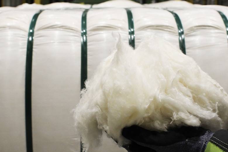 Kuura fibre’s first environmental LCA looks positive