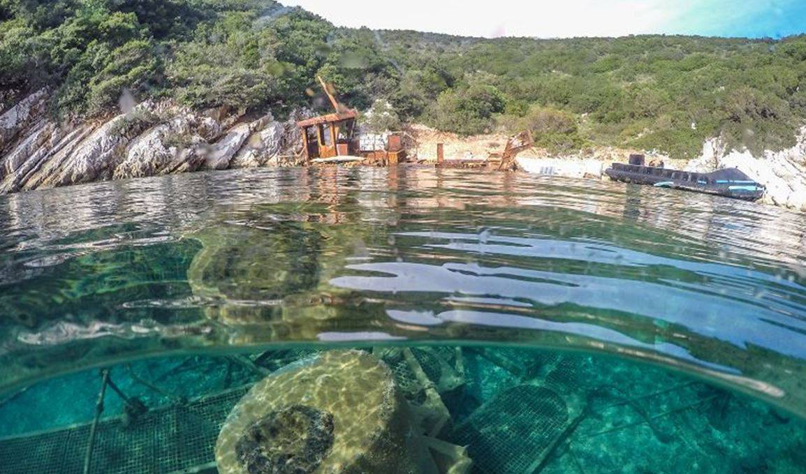 Healthy Seas embarks on biggest clean up