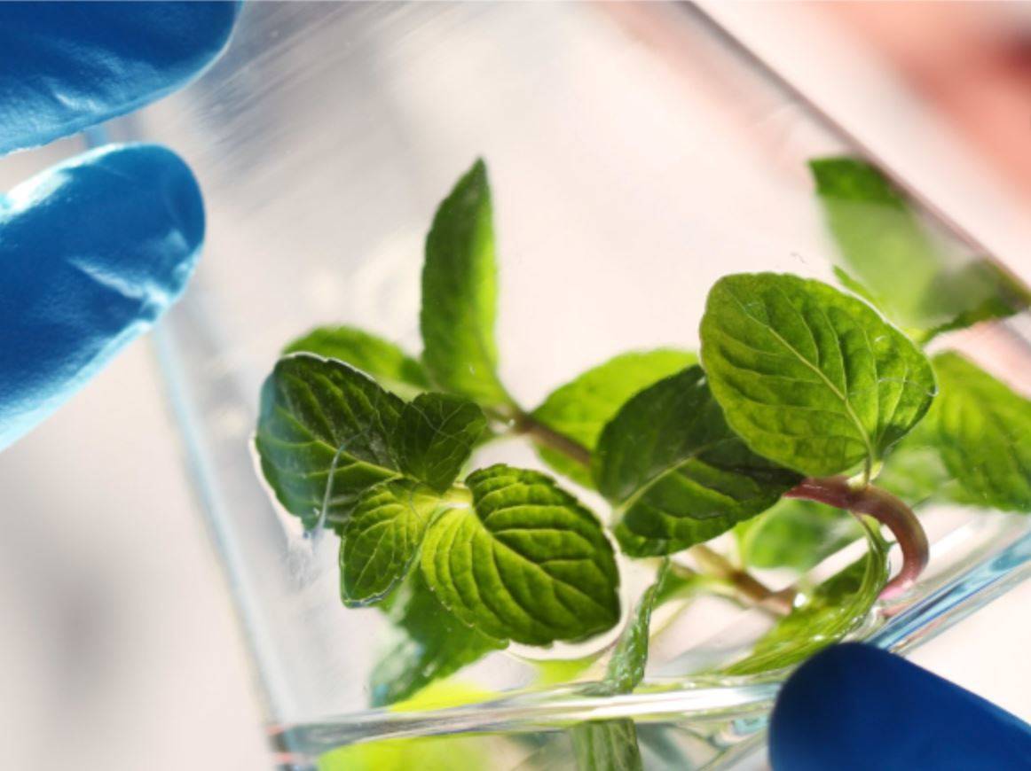 HeiQ strengthens portfolio with Life Materials acquisition