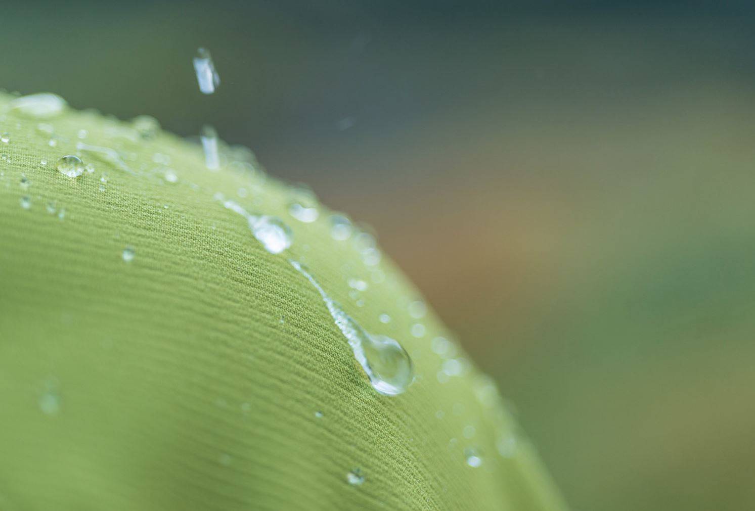 Schoeller engineers ecorepel for dry-clean fabrics                                                                                                                                                      