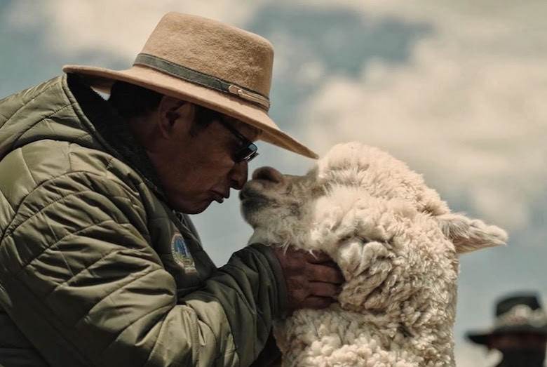 Alpaca summit held in Peru