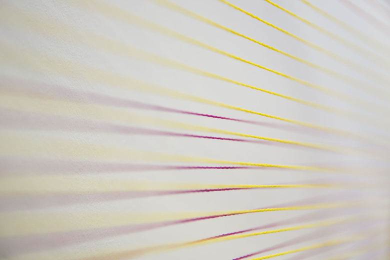 Project aims to address polyester textile waste challenge                                                                                                                                               