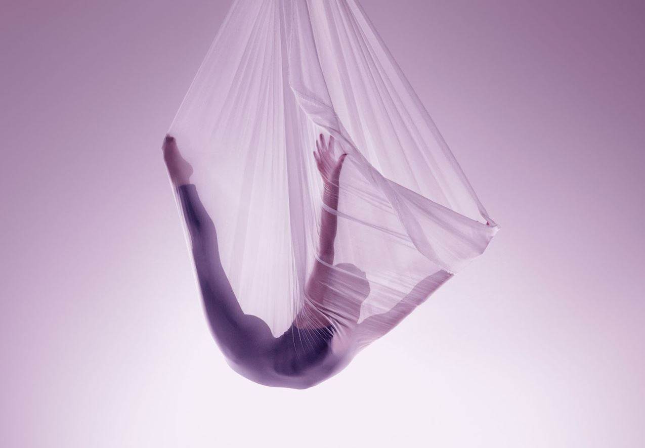 Sorona promotes partners through Preferred Mill Network                                                                                                                                                 