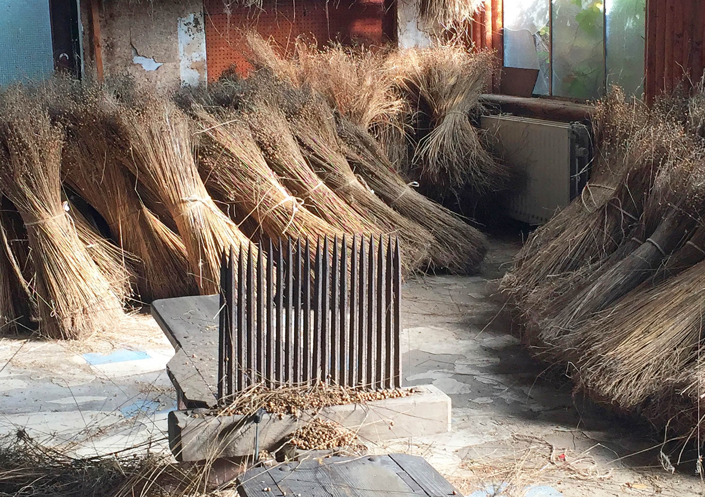 Polimoda launches master in textiles programme