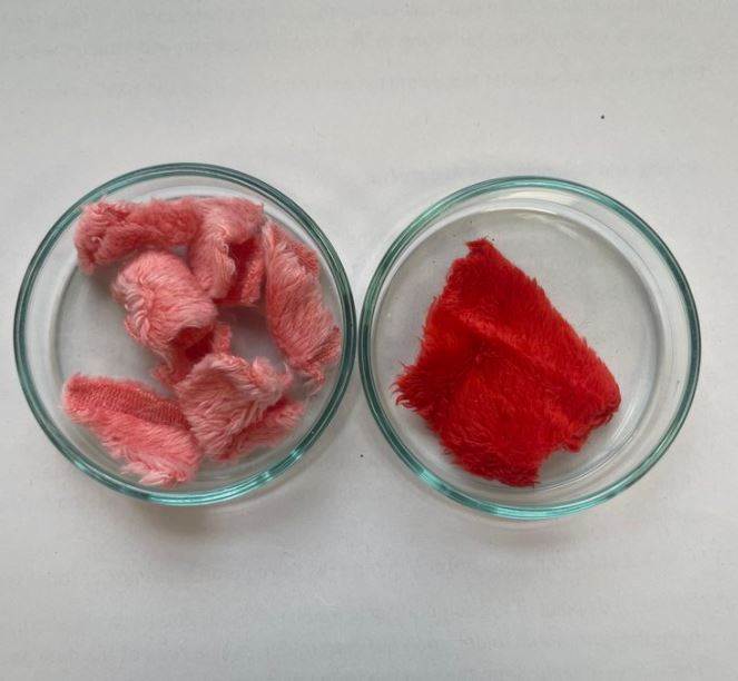 Carbon reduction focus for Fashion for Good’s latest innovators