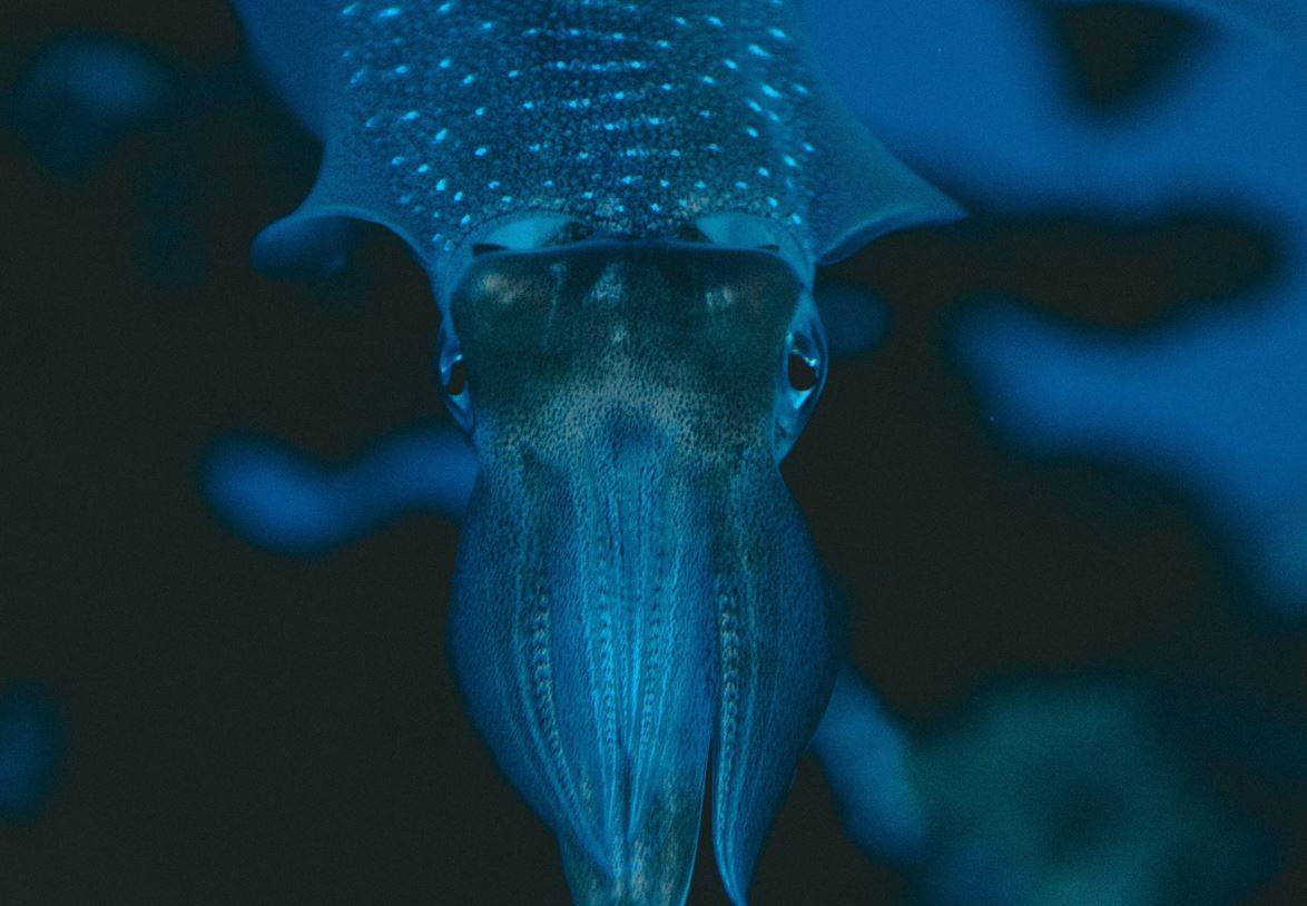 Winners of Microfiber Innovation Challenge share $525,000 prize