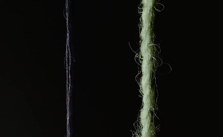 Carpet wool-to-clothing breakthrough for TMC