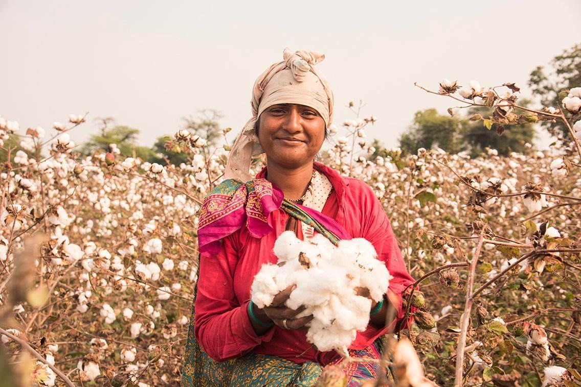 180% leap in Organic Cotton Accelerator farmers