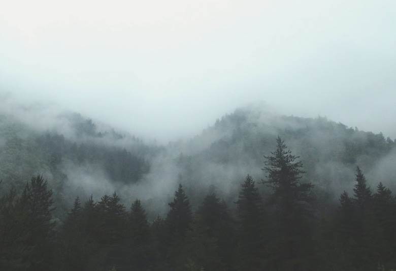 Jilin’s revenues surge despite covid measures