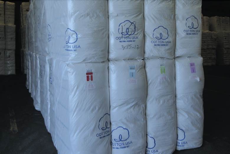 US non-profit hosts 'cotton day' in China                                                                                                                                                               