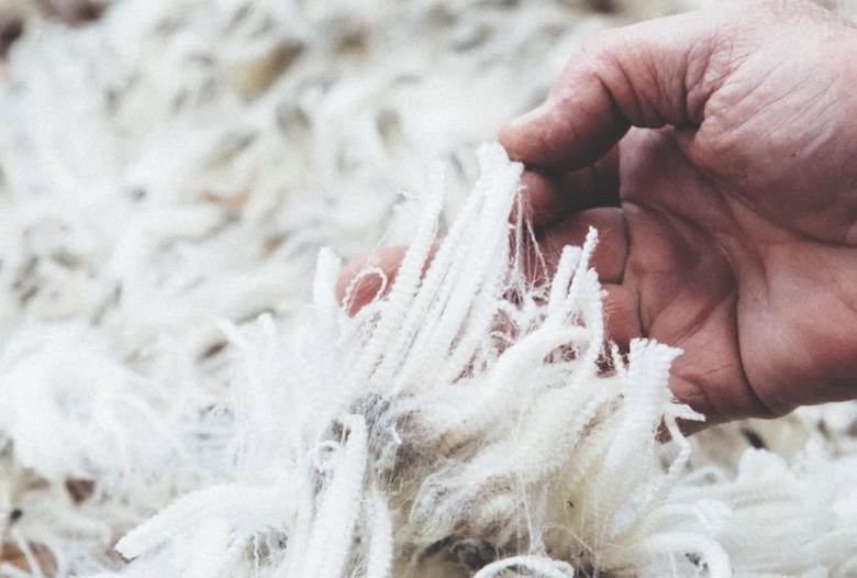 Icebreaker reveals ‘plastic-free’ progress                                                                                                                                                              