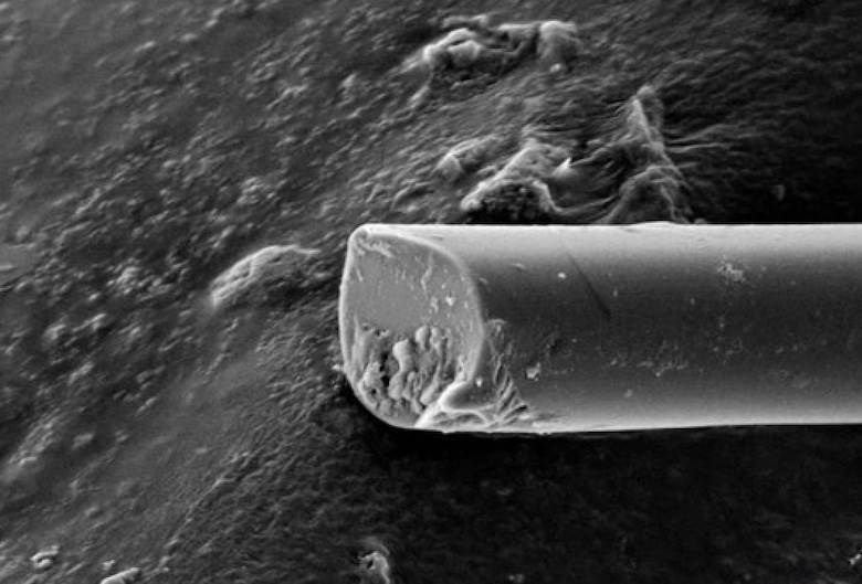 Re-spun silkworm silk 70% stronger than spider silks, research finds                                                                                                                                    