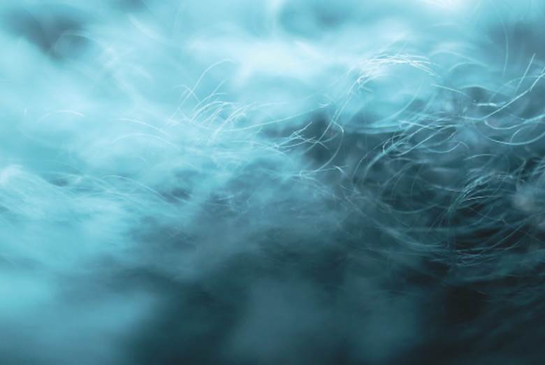 Microfibre Consortium calls for action to close data and knowledge gaps