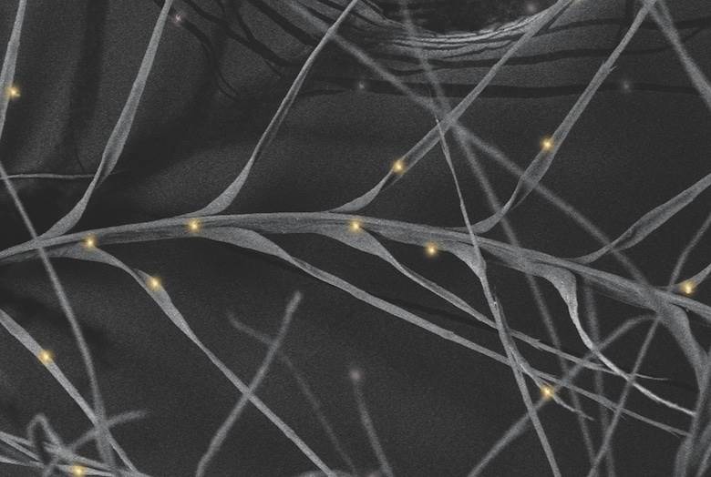 Allied's faster-drying down hits stores