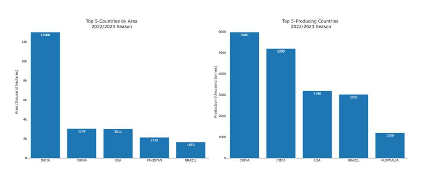 ICAC: Indian farmers might be holding onto cotton