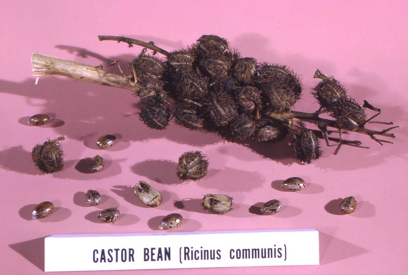 Radici’s bio yarn offers ‘true example of circularity’