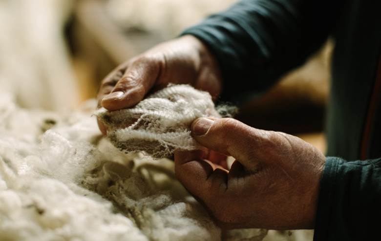 Wool chief to step down after 27 years                                                                                                                                                                  