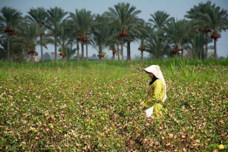 Ventile names first biodynamic cotton project beneficiaries