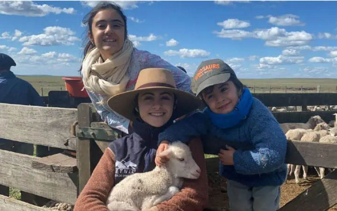 Pangaia partners Uruguayan merino project