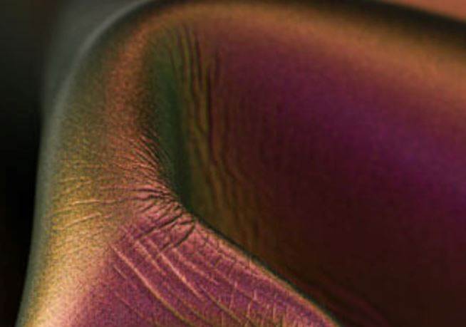 10th anniversary ISPO Textrends winners revealed