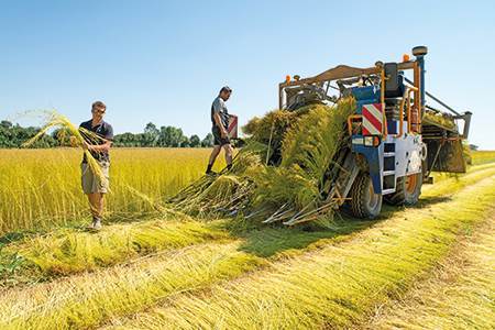 New strategy for promoting flax-linen in Italy                                                                                                                                                          