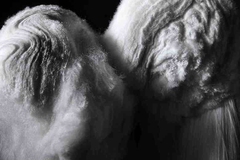 Spinnova expects Woodspin deliveries ‘in coming months’                                                                                                                                                 